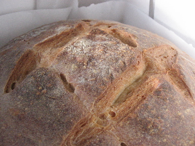 bread