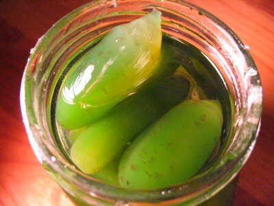 eggplants in syrup