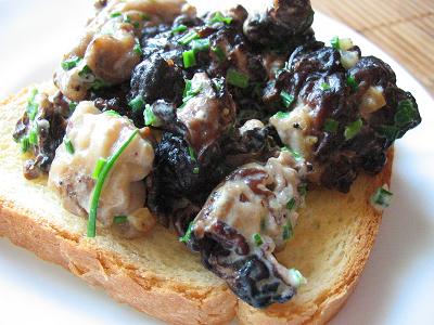  morel