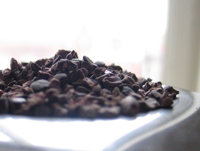cocoa nibs