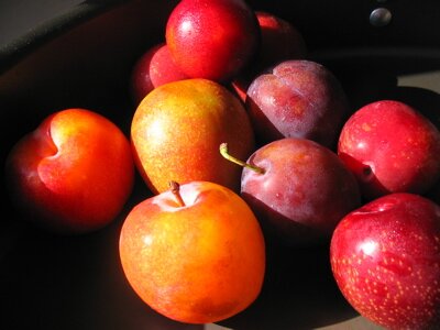 plums